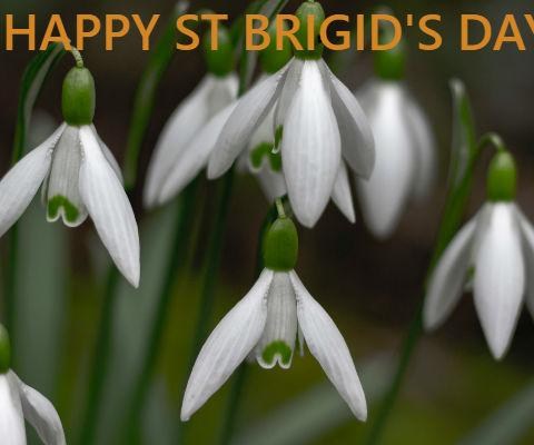 Happy St Brigids Day