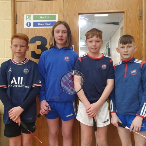 County Badminton Competition